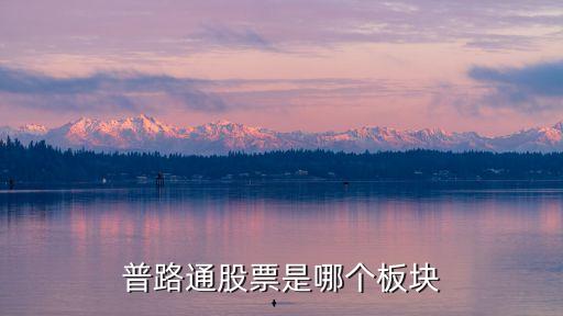 普路通股票是哪个板块
