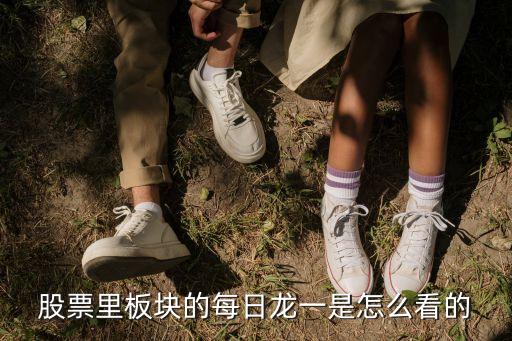 股票里板块的每日龙一是怎么看的