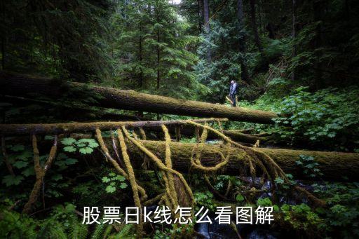 股票日k线怎么看图解