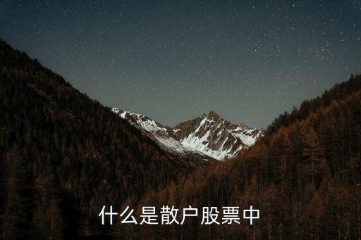 什么是散户股票中