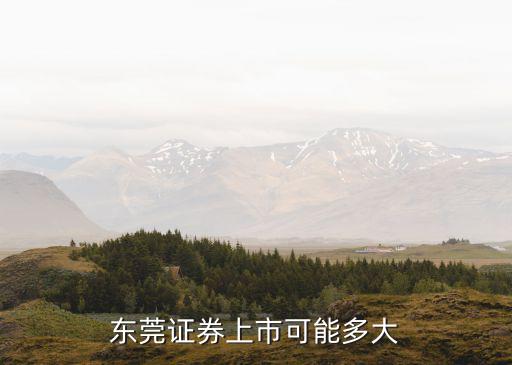 东莞证券上市可能多大