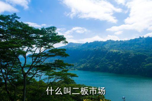 什么叫二板市场
