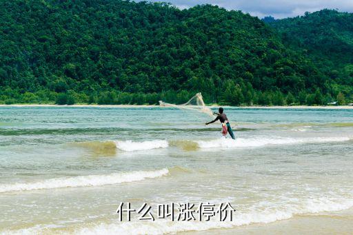 股票什么是涨停板价格，什么叫涨停价