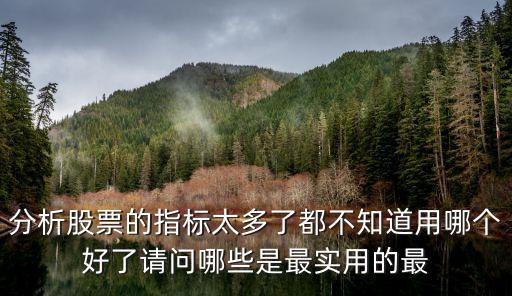 分析股票的指标太多了都不知道用哪个好了请问哪些是最实用的最