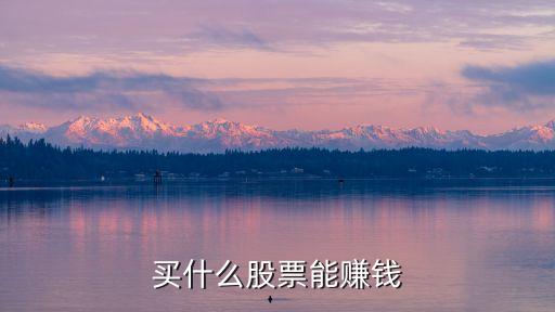 买什么股票能赚钱