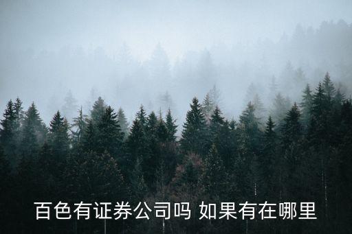 百色有什么股票公司，广西百色有没有证券公司知道的请回答谢谢