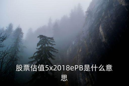 股票估值5x2018ePB是什么意思