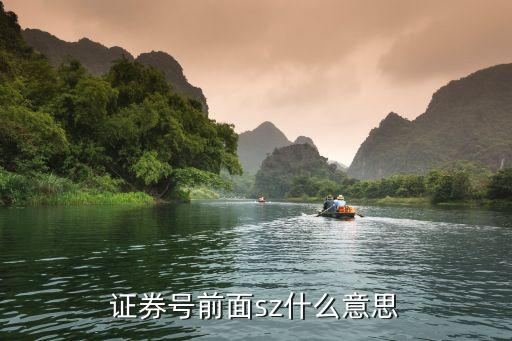 证券号前面sz什么意思