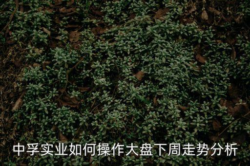 中孚实业如何操作大盘下周走势分析