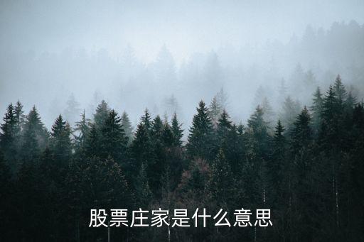 股票庄家是什么意思