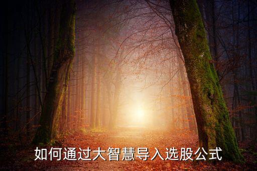 如何通过大智慧导入选股公式