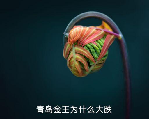 青岛金王为什么大跌
