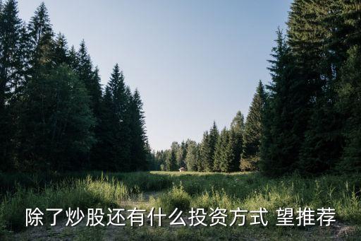 除了炒股还有什么投资方式 望推荐