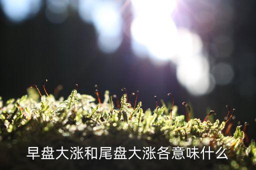 股票上午收盘涨什么意思，收盘上涨是什么意思