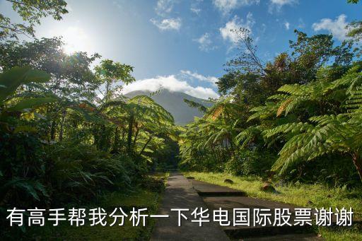 有高手帮我分析一下华电国际股票谢谢