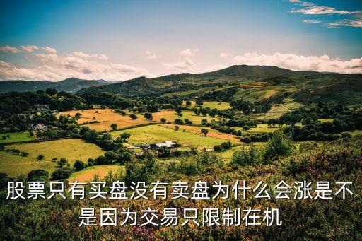 股票只有买盘没有卖盘为什么会涨是不是因为交易只限制在机