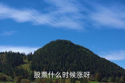 股票什么时候涨呀