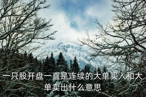 股票什么叫连续买入买出，股票当天卖出后又买入算是连续持股吗