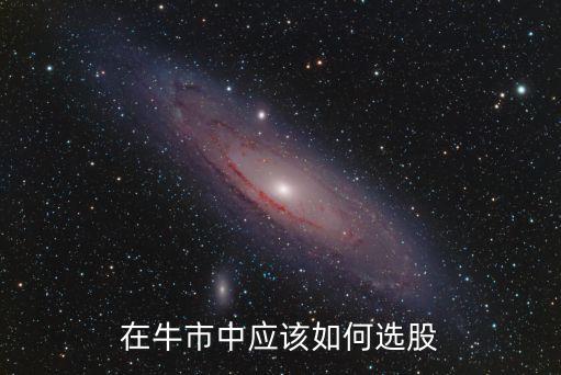 在牛市中应该如何选股