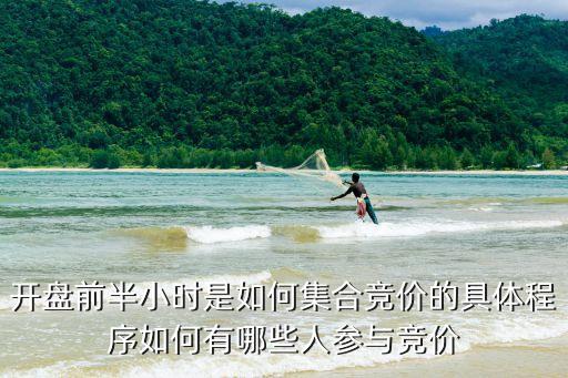 开盘前半小时是如何集合竞价的具体程序如何有哪些人参与竞价