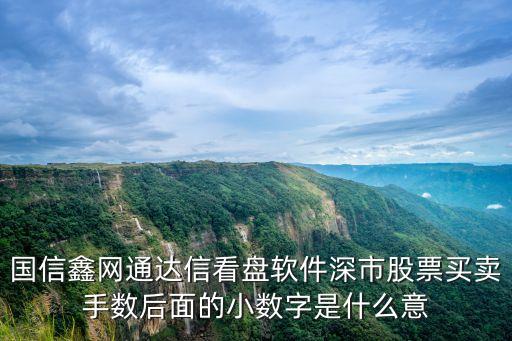 国信鑫网通达信看盘软件深市股票买卖手数后面的小数字是什么意