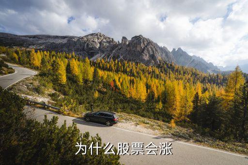 为什么股票会涨