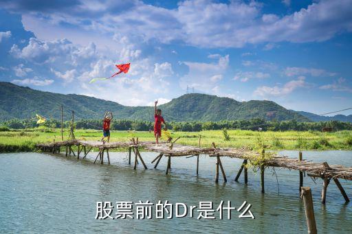 股票前加DR什么意思，股票前的Dr是什么