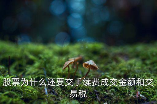 股票为什么还要交手续费成交金额和交易税