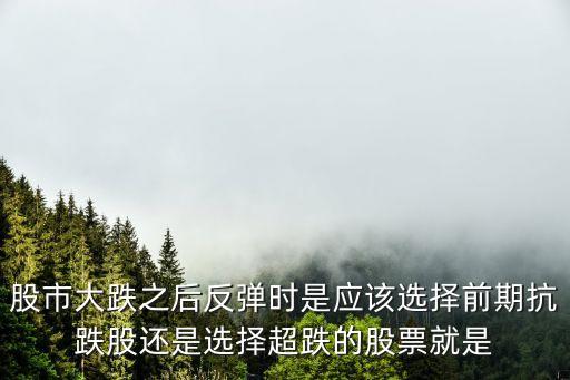 股市大跌之后反弹时是应该选择前期抗跌股还是选择超跌的股票就是
