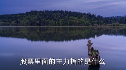 股票里面的主力指的是什么