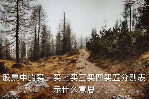股票中的买一买二买三买四买五分别表示什么意思