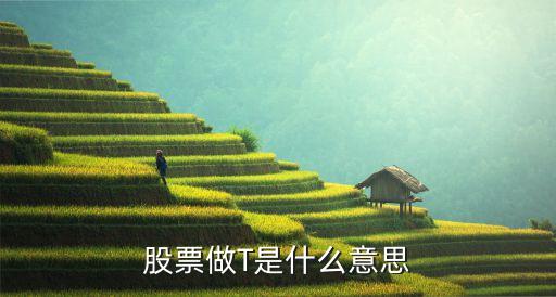 股票做T是什么意思
