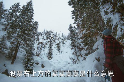 股票写买卖旁边小字是什么，国信鑫网通达信看盘软件深市股票买卖手数后面的小数字是什么意