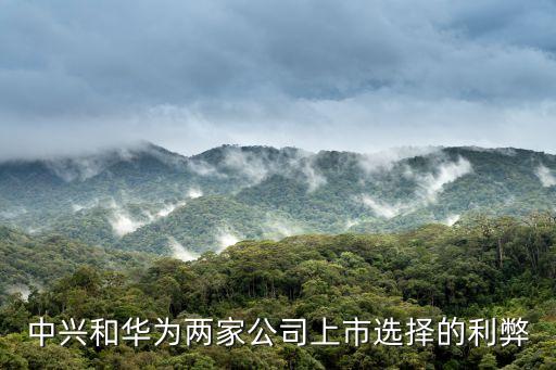 中兴和华为两家公司上市选择的利弊