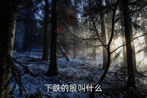 下跌的股叫什么
