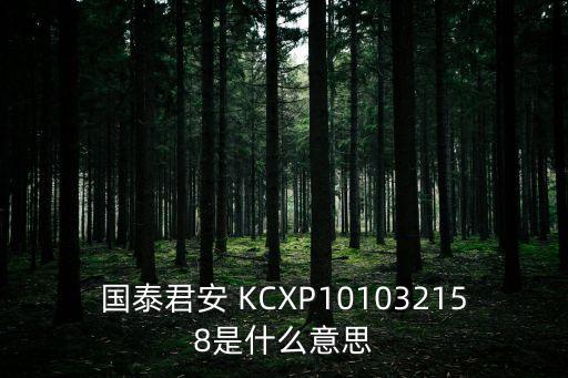 股票103是什么意思啊，国泰君安 KCXP101032158是什么意思