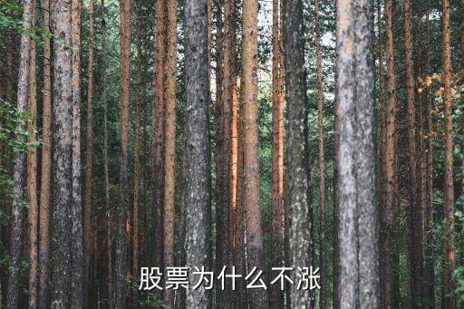 股票为什么不涨