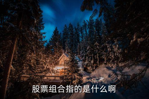 股票组合指的是什么啊
