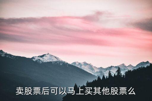卖股票后可以马上买其他股票么