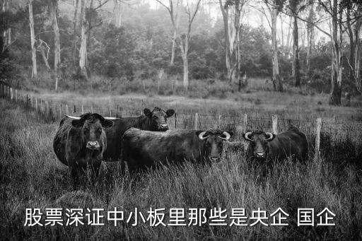 股票深证中小板里那些是央企 国企