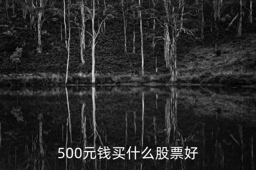 500元钱买什么股票好