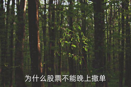 为什么股票不能晚上撒单