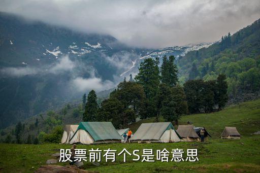 股票前s是什么意思，股票前加S是什么意思