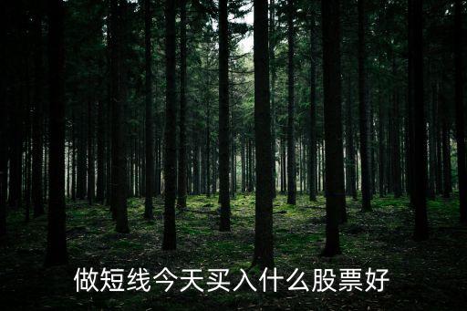 今天买过什么股票，做短线今天买入什么股票好