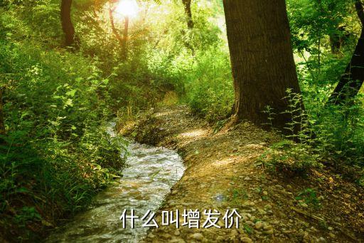 什么叫股票软件增发价，股票上的增发价是什么意思