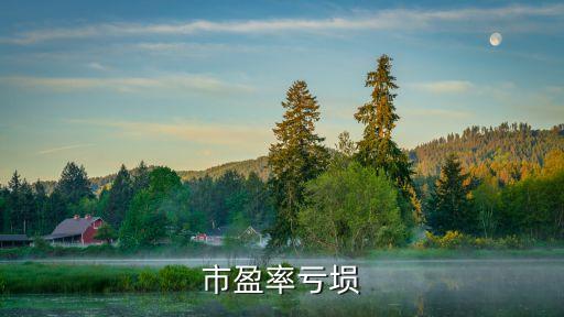 股票里市盈率亏损什么意思，市盈率亏埙