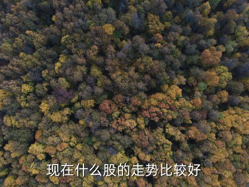 大家现在关注什么股票走势，现在该关注那些股票