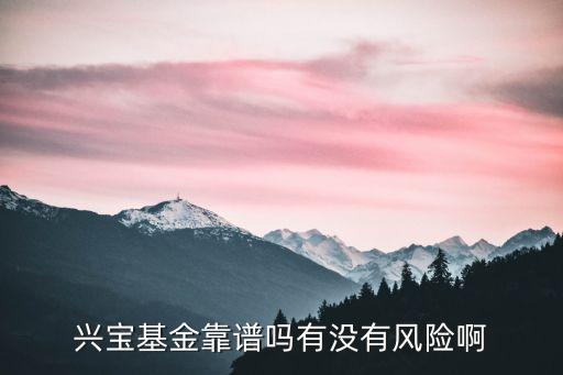万兴转债是什么股票，兴宝基金靠谱吗有没有风险啊