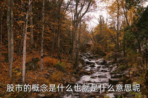 股市的概念是什么也就是什么意思呢