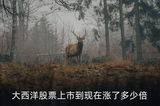 大西洋股票上市到现在涨了多少倍